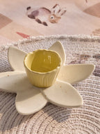 Next Uk Natural Spring Daffodil Flower Egg Cups