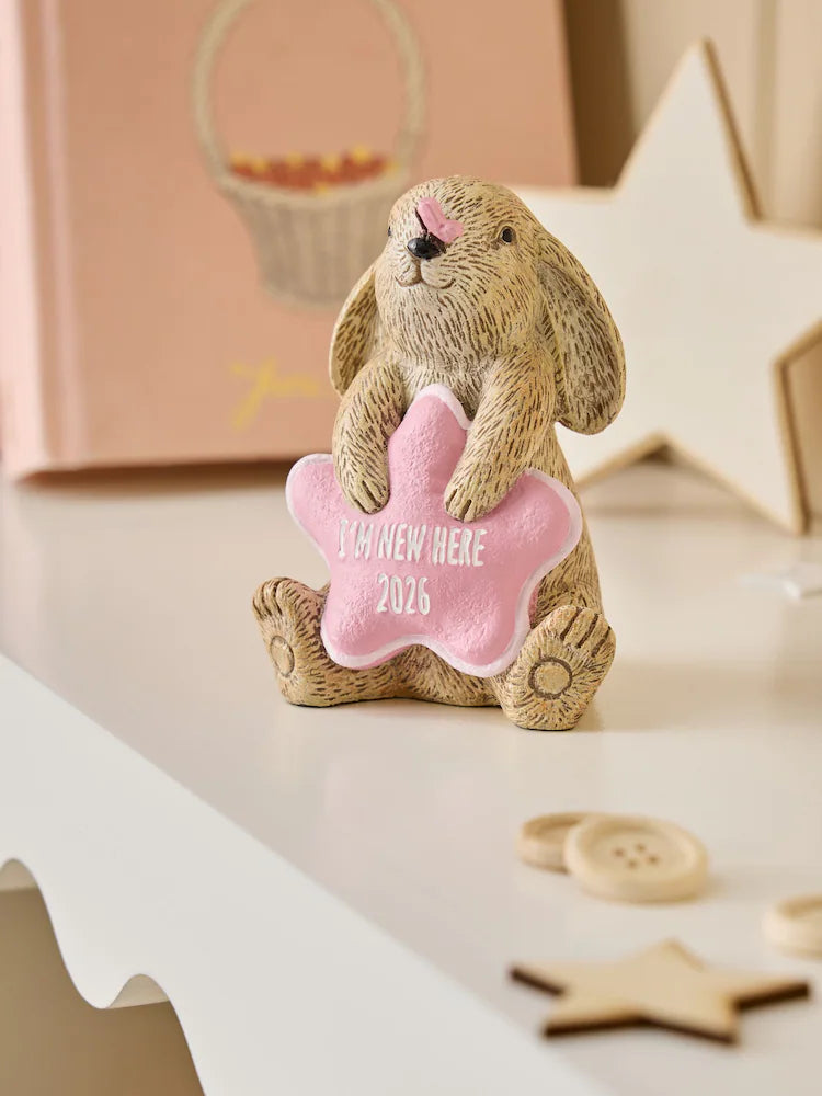 Next Uk Pink Baby Girl Born in 2026 Bunny Ornament