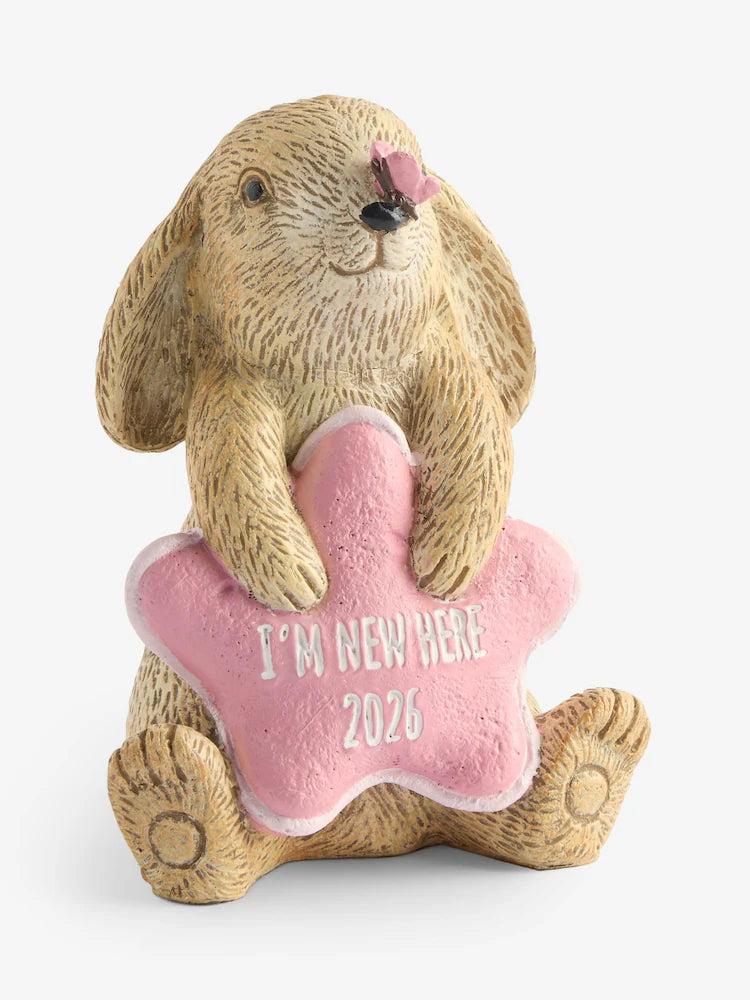 Next Uk Pink Baby Girl Born in 2026 Bunny Ornament