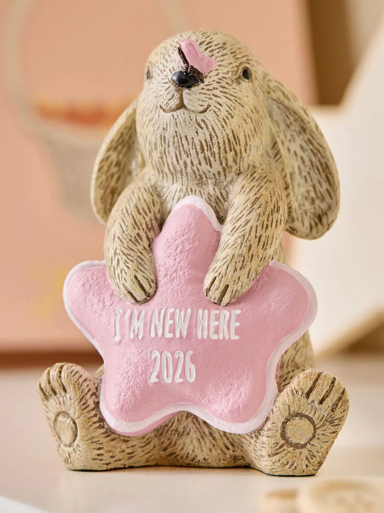 Next Uk Pink Baby Girl Born in 2026 Bunny Ornament