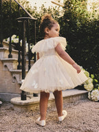 Preorder Next Uk White Ruffle Collar Mesh Dress (3mths-7yrs)